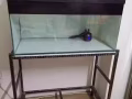 三尺鱼缸加配件便宜出售！
