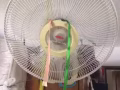 搬家风扇，和各种插排便宜卖
