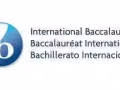 国大生1对1，0/A-level,IB,IP数学物理作业辅导，考试突击