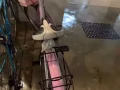 二手自行車