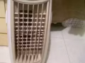 低价出售九成新冷风机