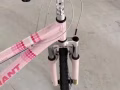 台湾产自行车