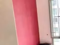 淡滨尼超大公寓主人房 普通房找租客