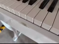 贝斯 besty piano 免费送去你家