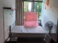 实龙岗超大隔间，公寓，限1人