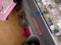 大普通房出租