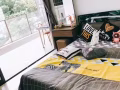 ～花拉公园高级公寓温馨阳台普通房出租～