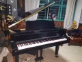 Yamaha 三角钢琴