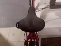 自己用的自行車