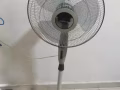 低价出售落地风扇，电饭锅