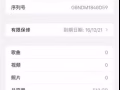 苹果12Pro Max 金色512GB