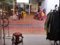 馬西嶺食品市場店鋪出租