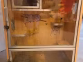 龙猫冷气笼子