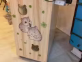 龍貓冷氣籠子