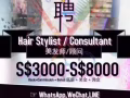 新加坡大型連鎖美容美髮，高薪誠聘！（公司直招）