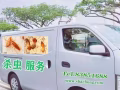 專業殺蟲、十多年經驗！臭蟲、蟑螂、黑、白螞蟻、跳蚤、蚊蠅、各種飛蟲，全島服務！