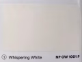 油漆 NIPPON PAINT 5L原价$80新币现半价出售$40新币。