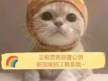 专业办理新加坡工作12年，零中介费，大型企业招工，微信:hy183577147