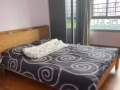 榜鹅普通房出租