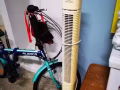 遥控风扇