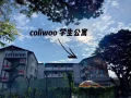 Coliwoo 85soho 招租女室友