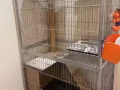 猫笼子