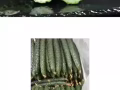 物美价廉中国超市