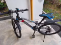 凱美瑞自行車便宜處理，先到先得