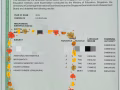 higher chinese, comb sci(chem), add math