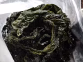 一千公斤的日本海带(做餐饮的朋友看过来)