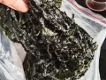 一千公斤的日本海帶(做餐飲的朋友看過來)