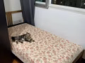 有普通房出租