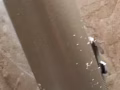 巴西立有床位出租