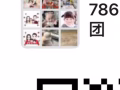 786D海运拼团进行中