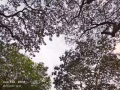 找房子，两人间或三人间