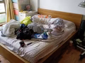 成品窗帘若干