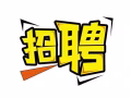 可申請WP准證（非中介）倉管，無需經驗，公司直招