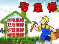 專業水管工