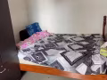 男搭房