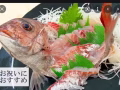 日本餐招聘廚師 馬來西亞 薪水¥2200 一天9H