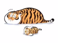 招聘水电工一名