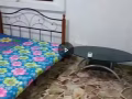 普通房出租