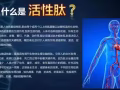 小分子活性肽