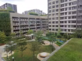 876A淡滨尼普通房 876A Tampines room for rent