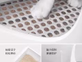 自動除味貓砂盆二手出