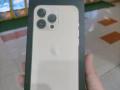 13pro