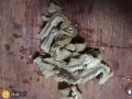 筋头巴脑（牛🐄.羊🐑）