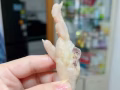 新鮮泡椒鳳爪，新加坡當地現做，每周限量！
