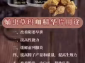 玛咖男人的加油站，女人的美容院