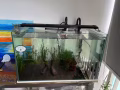 魚缸出售
